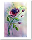 Plum Rose Note Card from Original Watercolor Painting